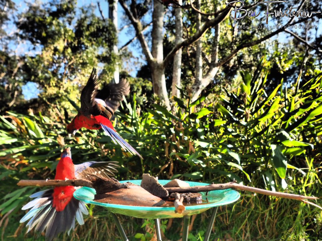 Valla, Northern New South Wales, Australia