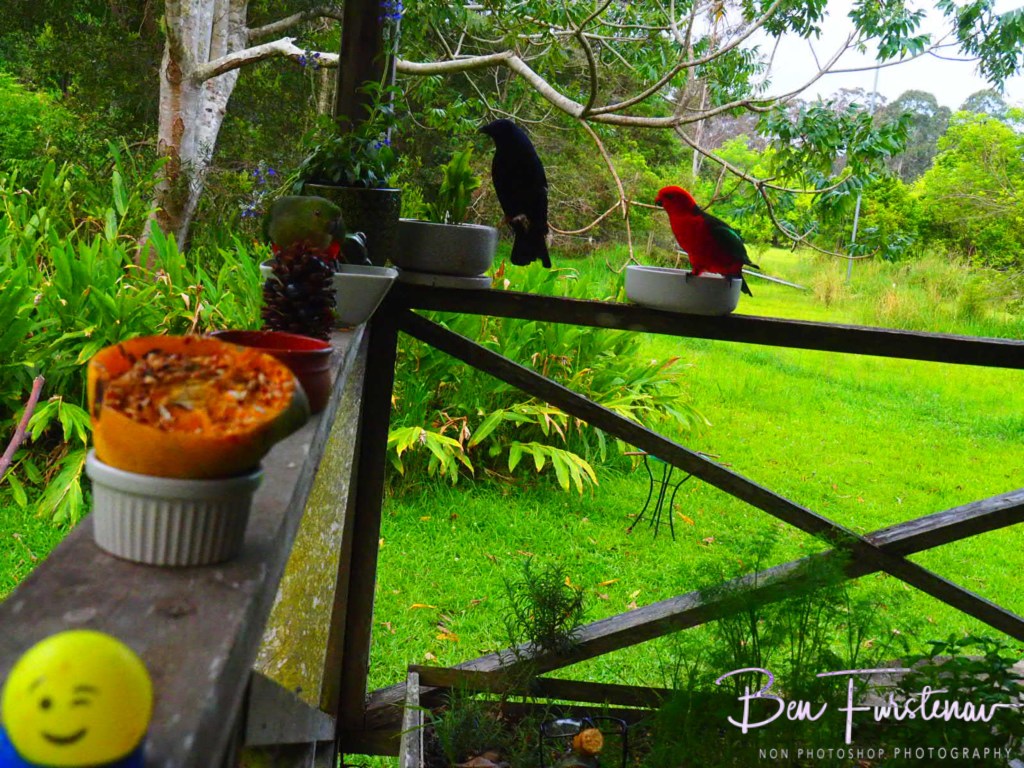 Valla, Northern New South Wales, Australia