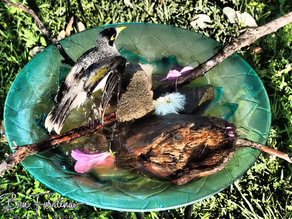 Valla, Northern New South Wales, Australia