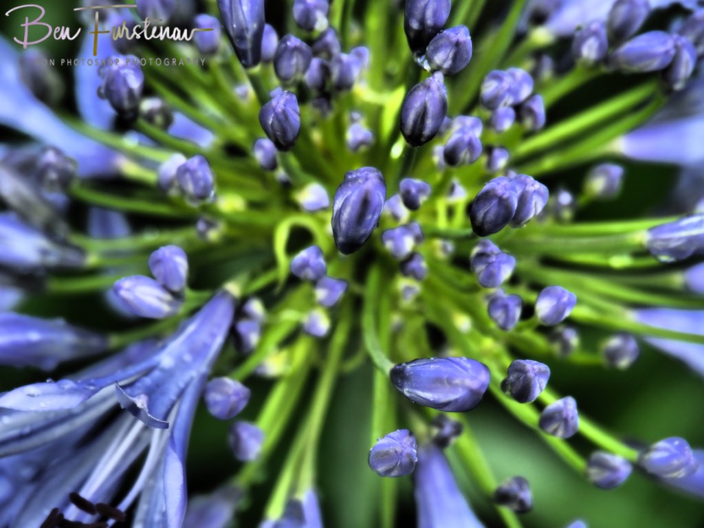 Valla, Northern New South Wales, Australia