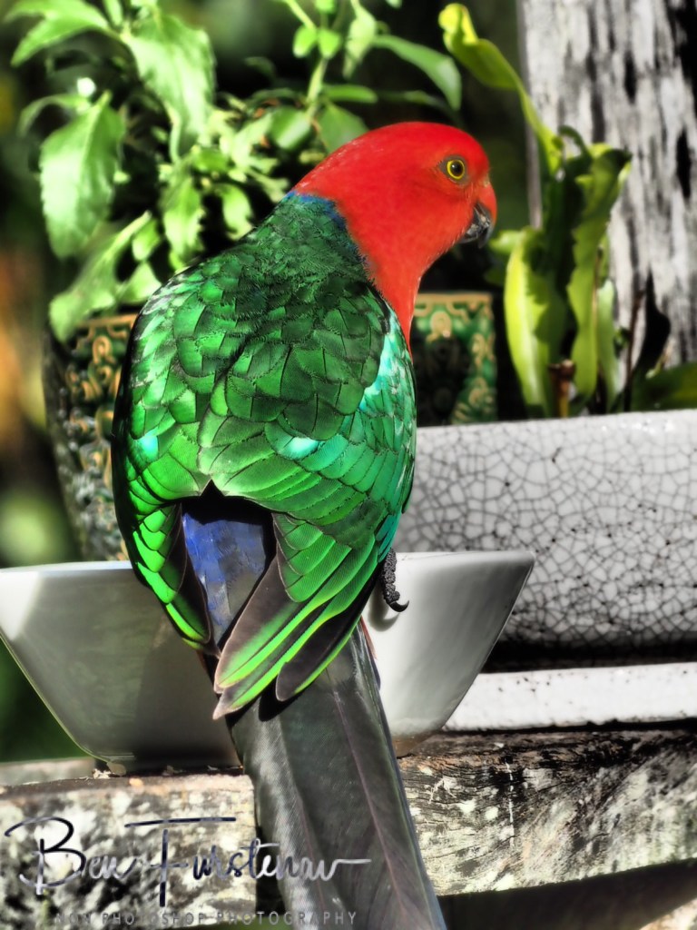 Valla, Northern New South Wales, Australia