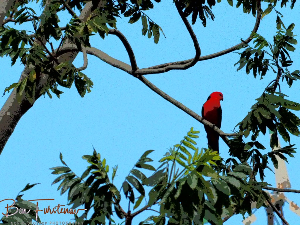 Valla, Northern New South Wales, Australia
