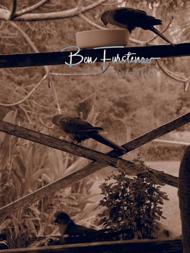 Valla, Northern New South Wales, Australia