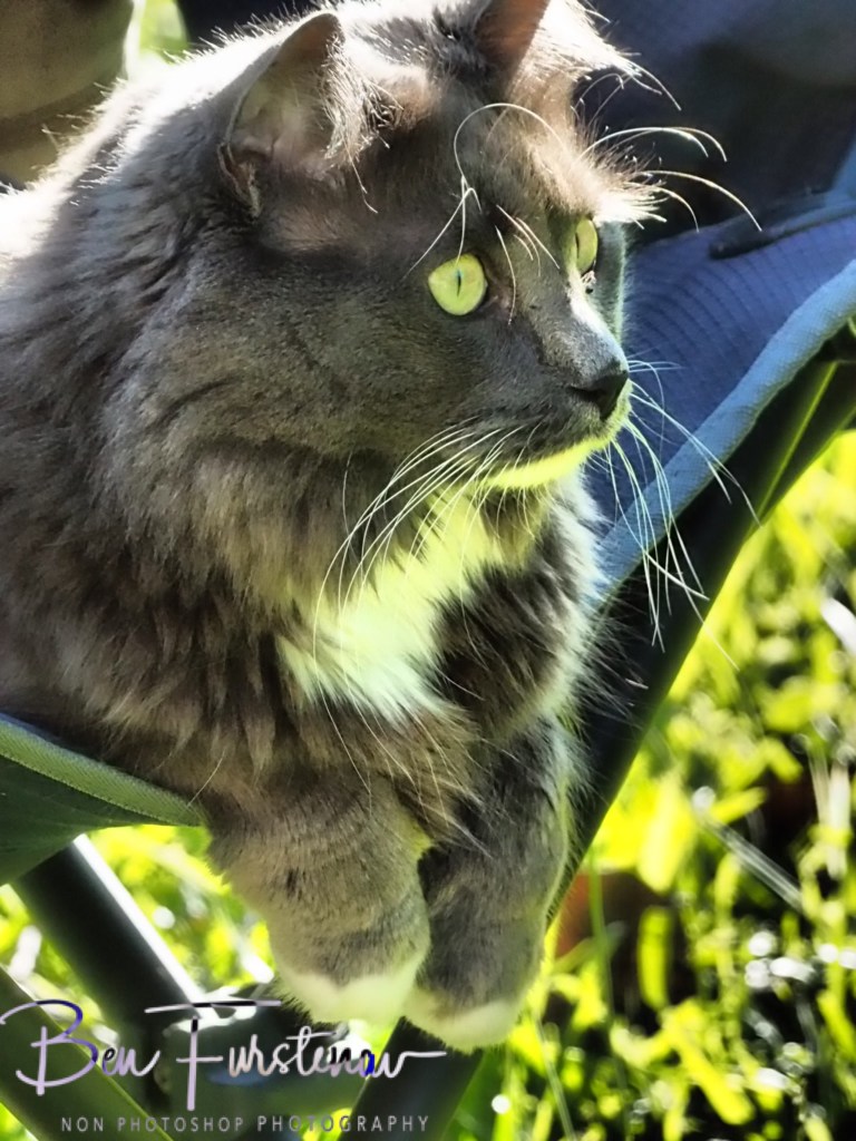 Valla, Northern New South Wales, Australia