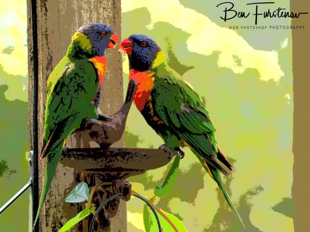 Valla, Northern New South Wales, Australia