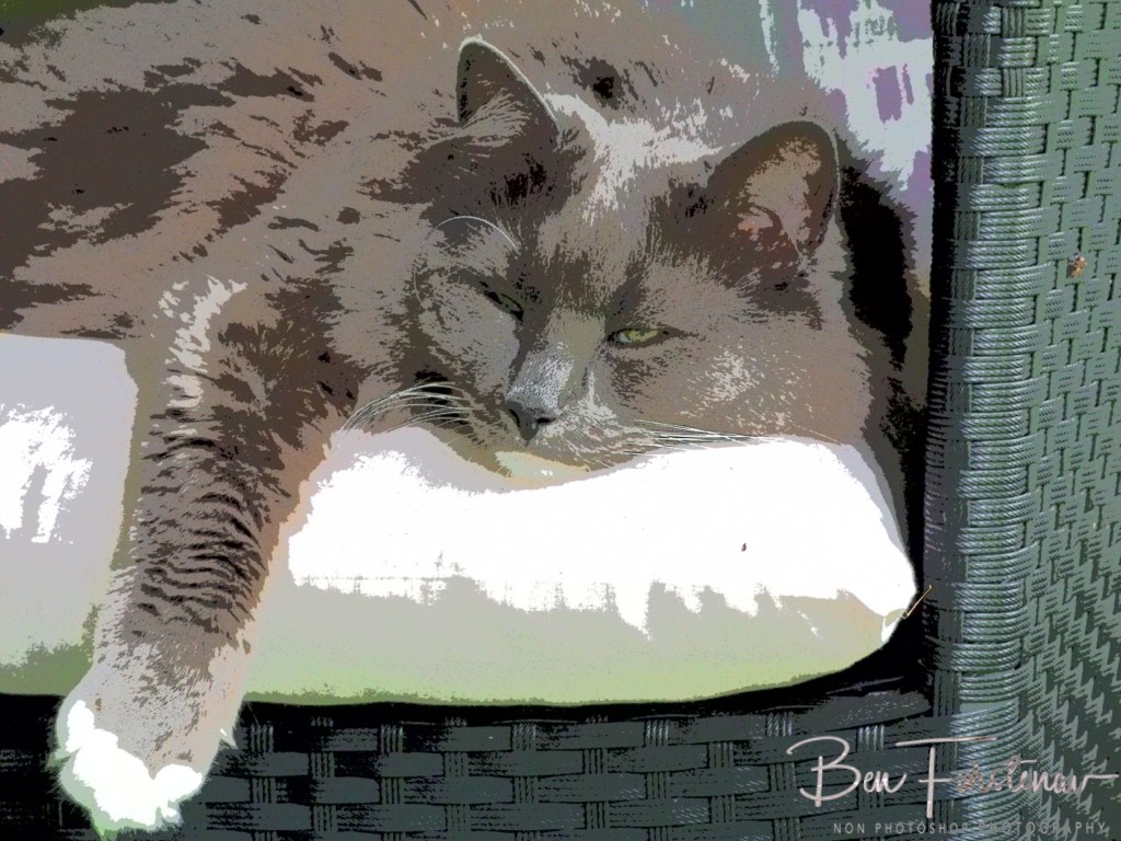 Valla, Northern New South Wales, Australia