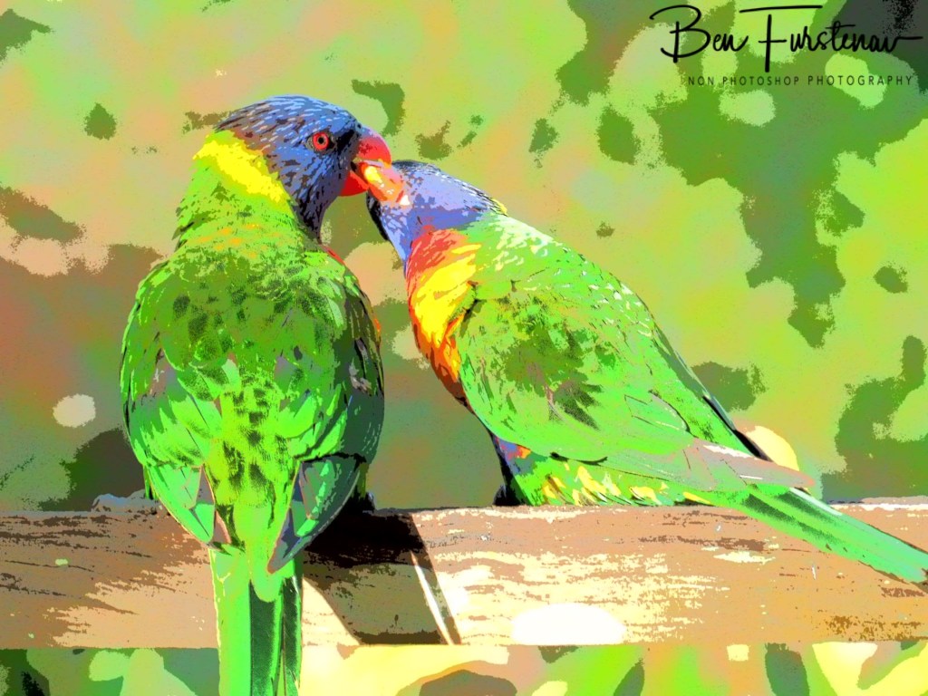 Valla, Northern New South Wales, Australia