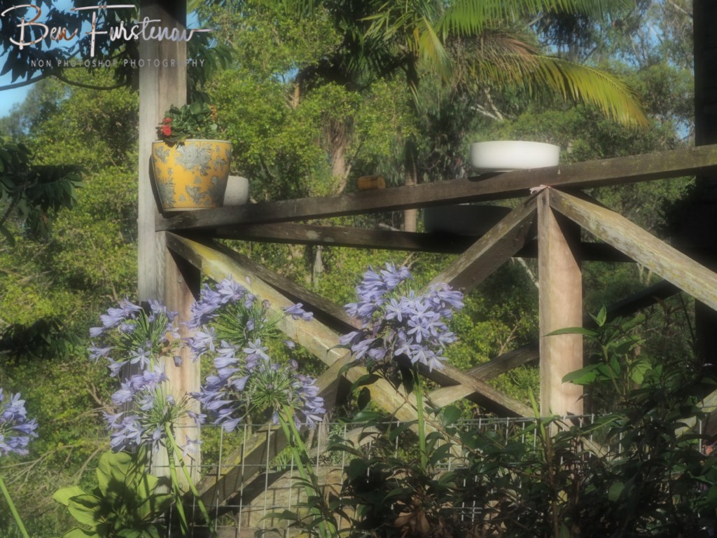 Valla, Northern New South Wales, Australia