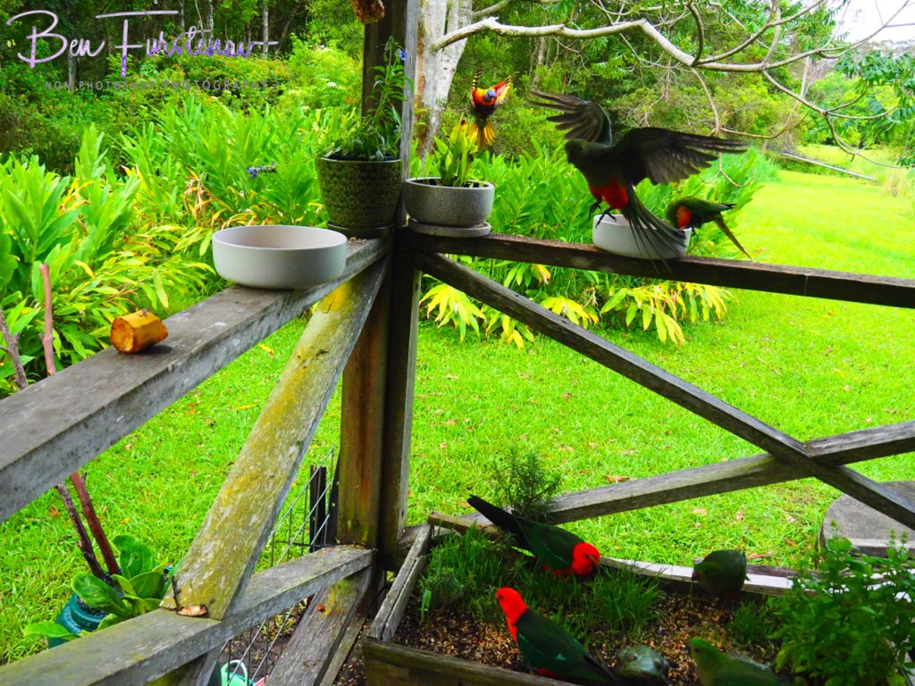 Valla, Northern New South Wales, Australia