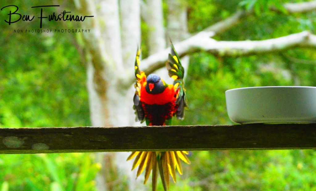 Valla, Northern New South Wales, Australia