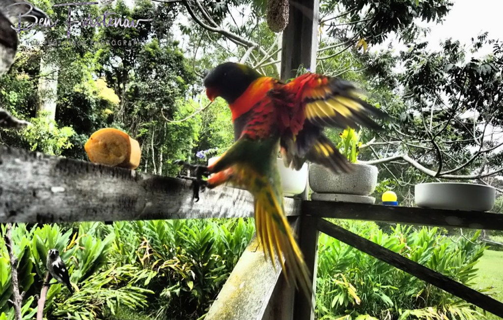 Valla, Northern New South Wales, Australia