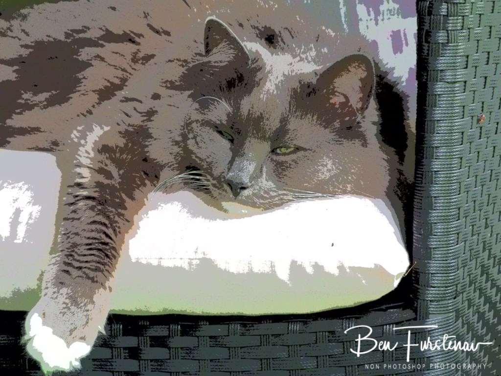 Valla, Northern New South Wales, Australia