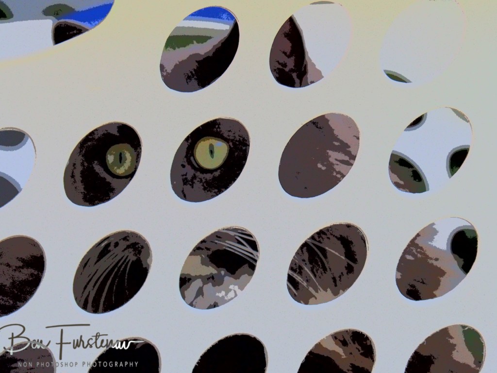 Valla, Northern New South Wales, Australia