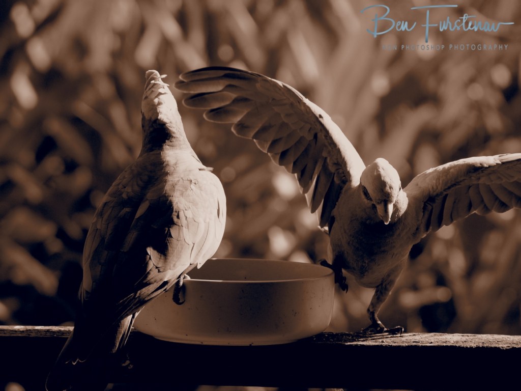 Valla, Northern New South Wales, Australia