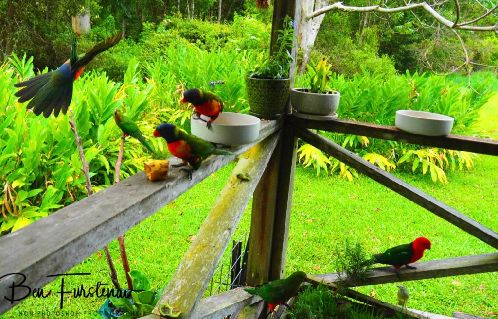 Valla, Northern New South Wales, Australia