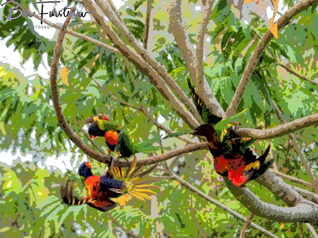 Valla, Northern New South Wales, Australia