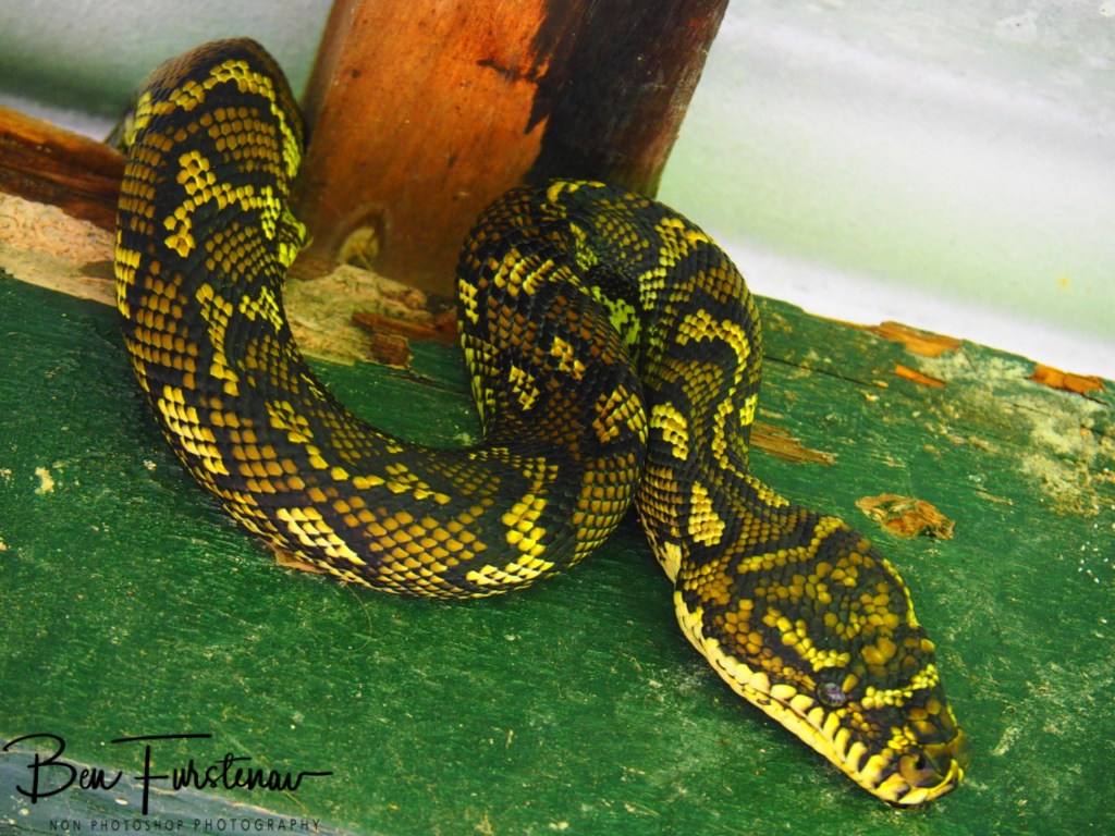 Valla, Northern New South Wales, Australia