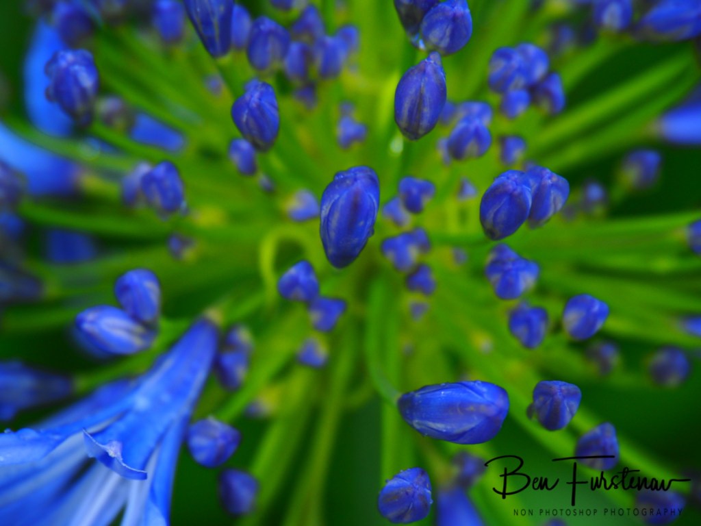 Valla, Northern New South Wales, Australia