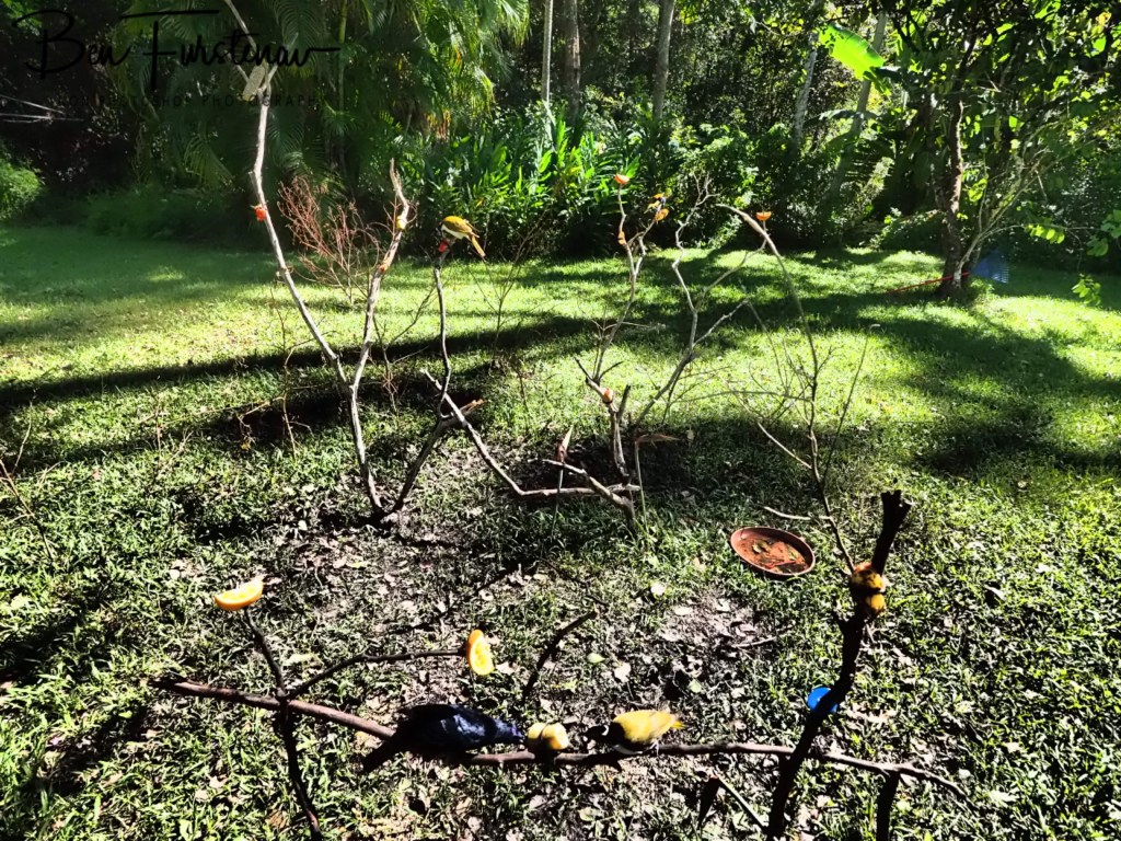 Valla, Northern New South Wales, Australia