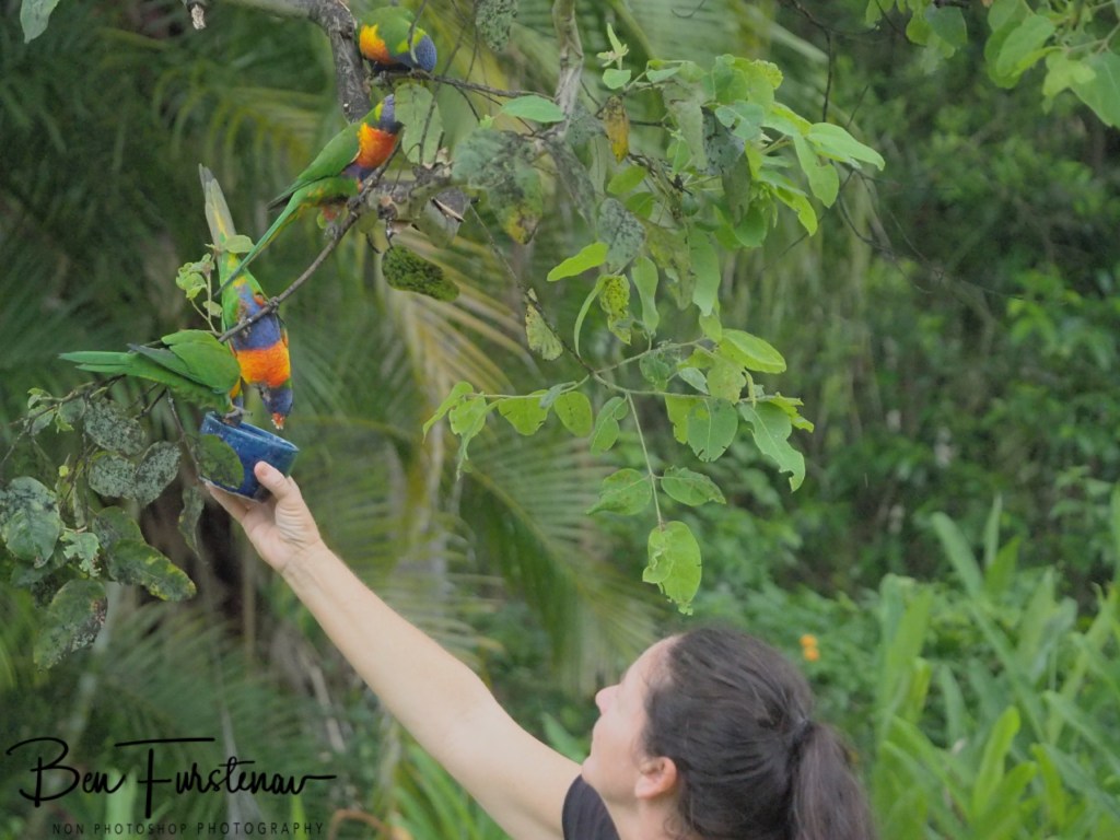 Valla, Northern New South Wales, Australia