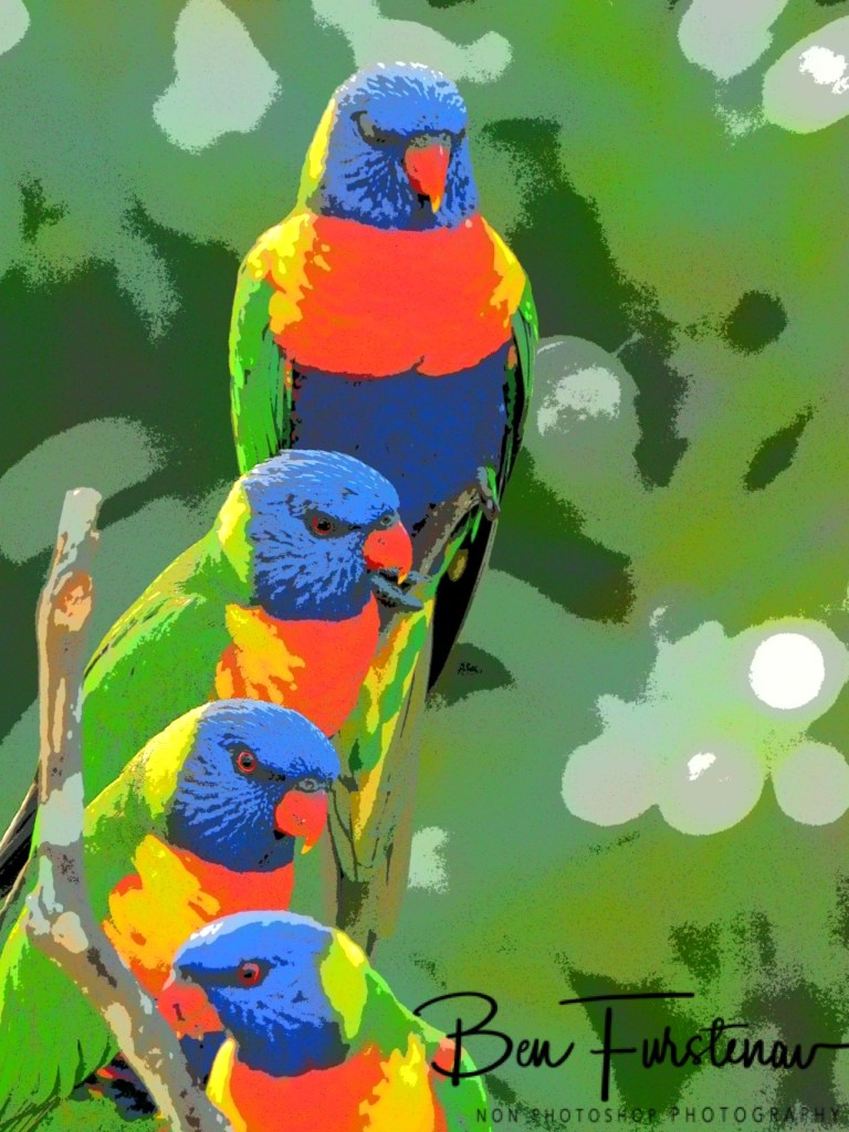 Valla, Northern New South Wales, Australia