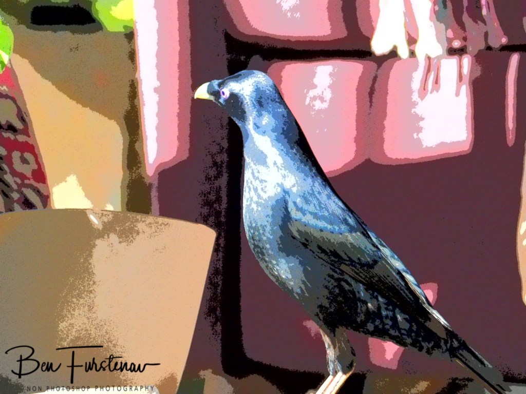 Valla, Northern New South Wales, Australia