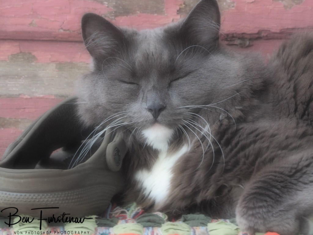 Valla, Northern New South Wales, Australia