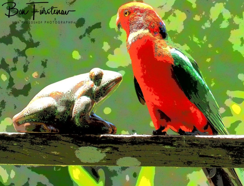 Valla, Northern New South Wales, Australia