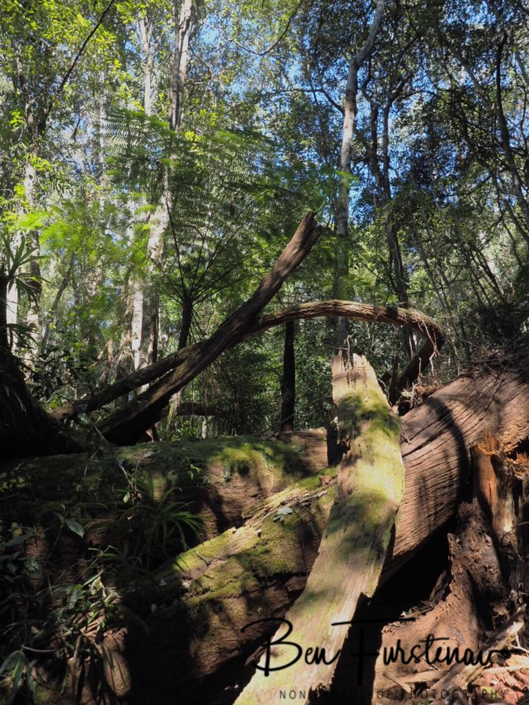 Orara Valley, Northern New South Wales, Australia