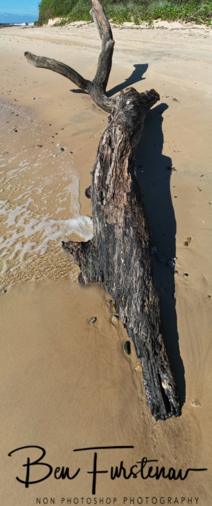 Hungry Head, Northern New South Wales, Australia
