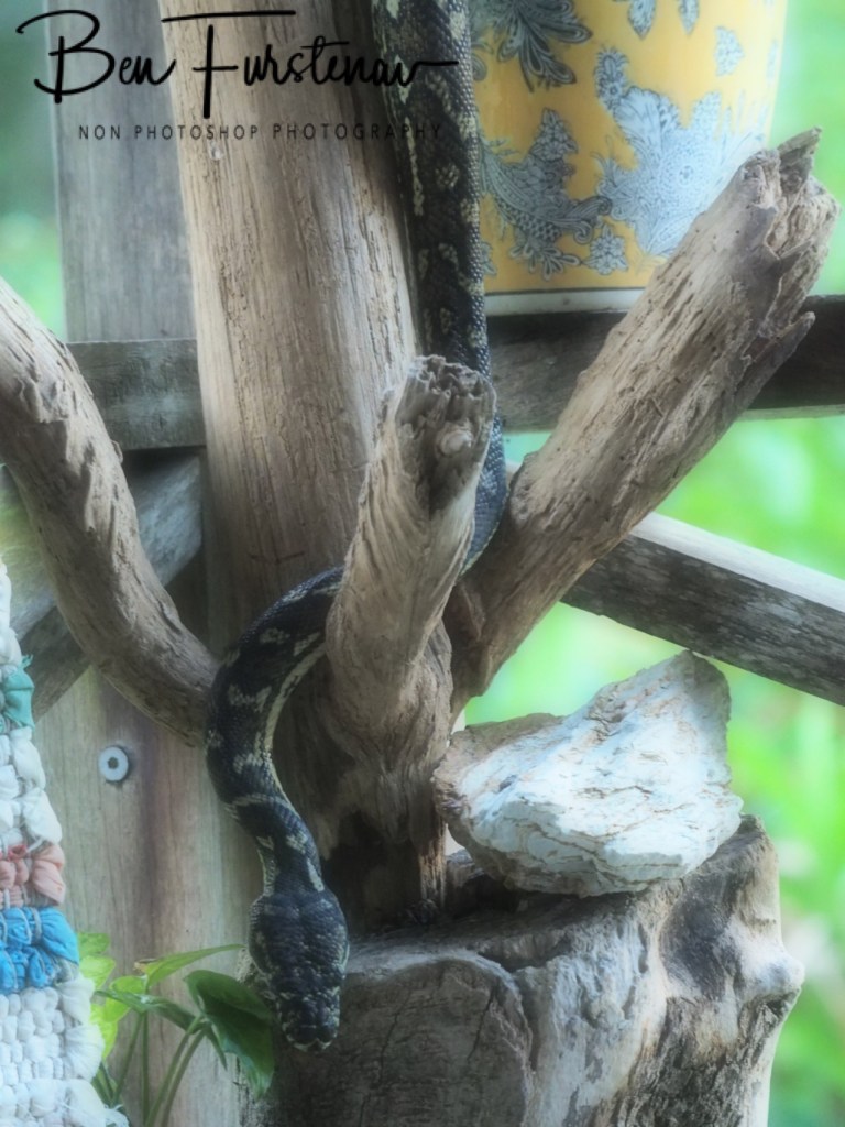 Valla, Northern New South Wales, Australia