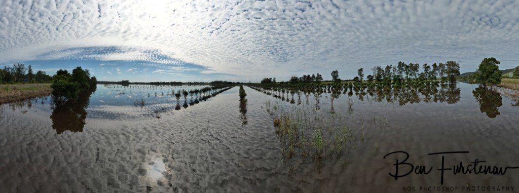 Near Patch's Beach, Northern New South Wales, Australia