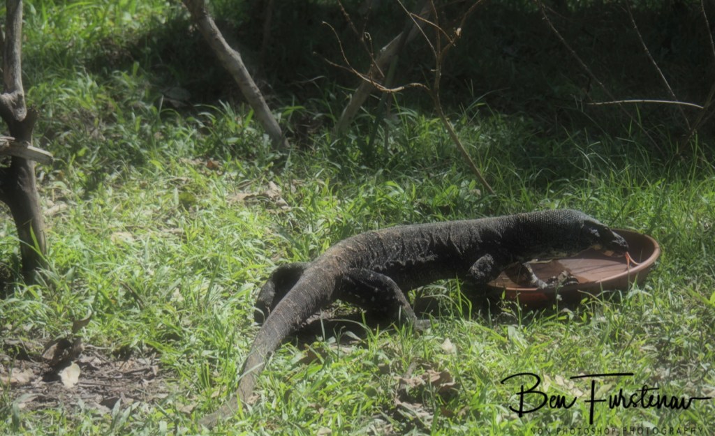 Valla, Northern New South Wales, Australia