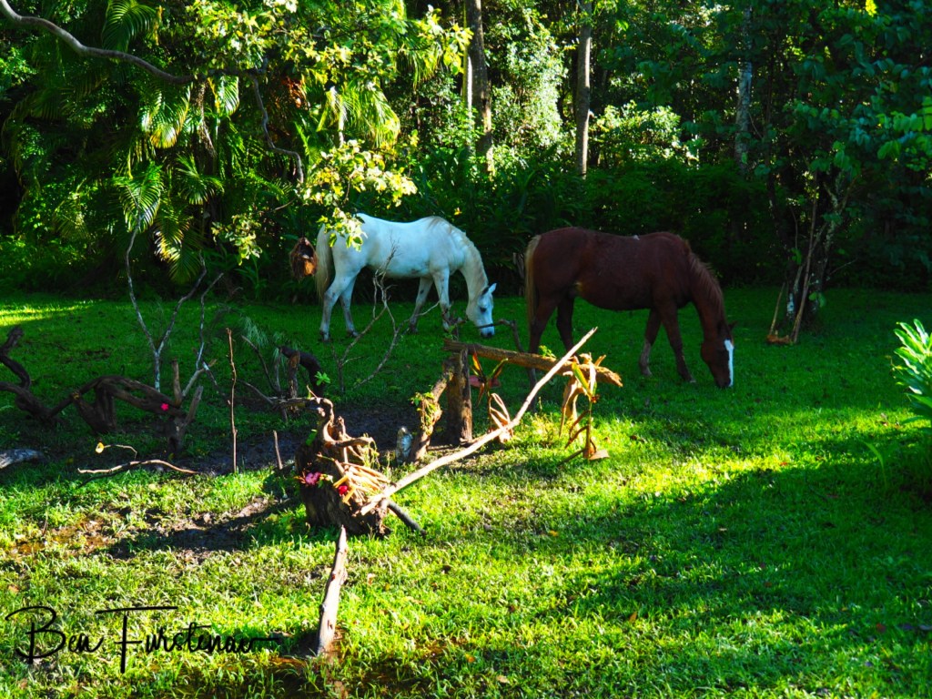 Valla, Northern New South Wales, Australia