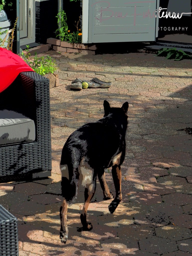 Zwolle. Overijssel, Holland