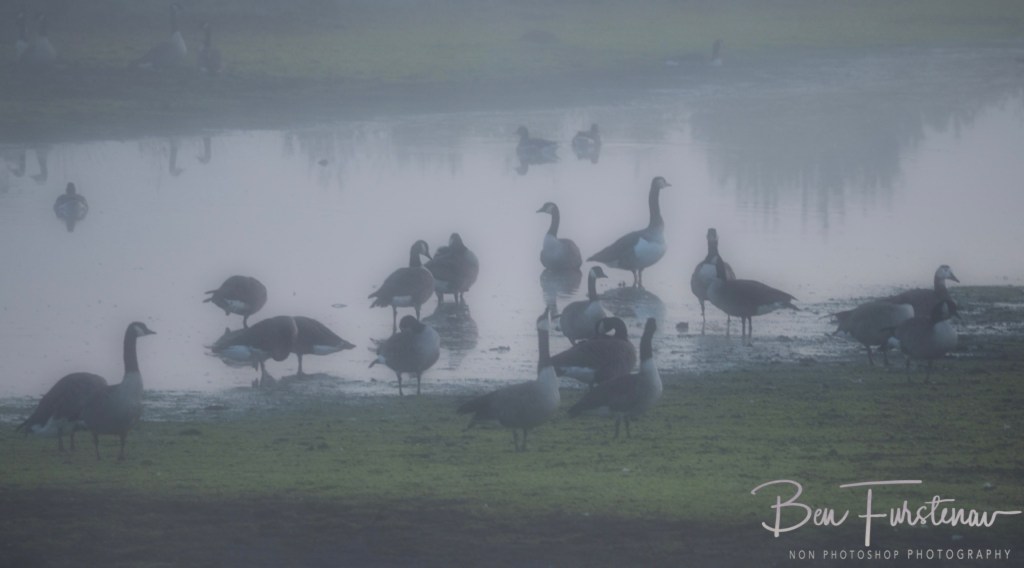 Hamburg, Pinneberg, Schleswig-Holstein,Hamburg, Germany