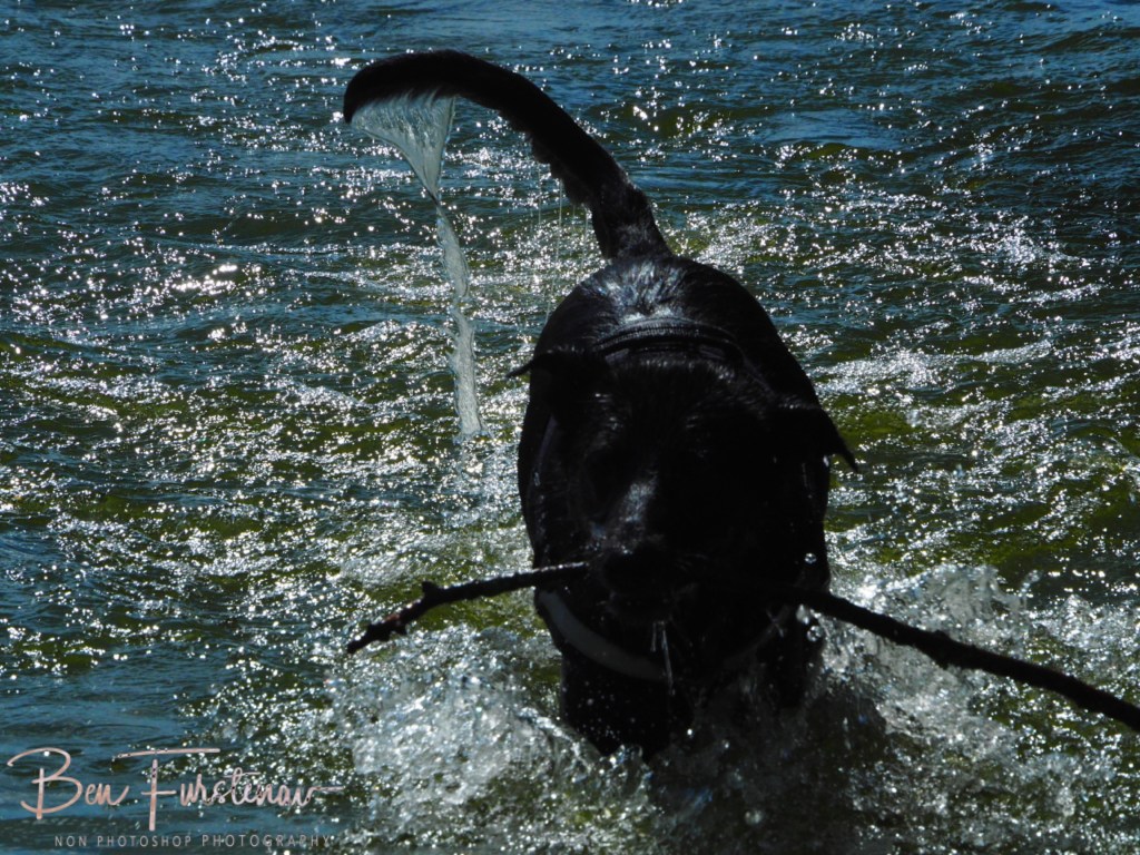 Erkermederstrand, Zwolle, The Netherlands