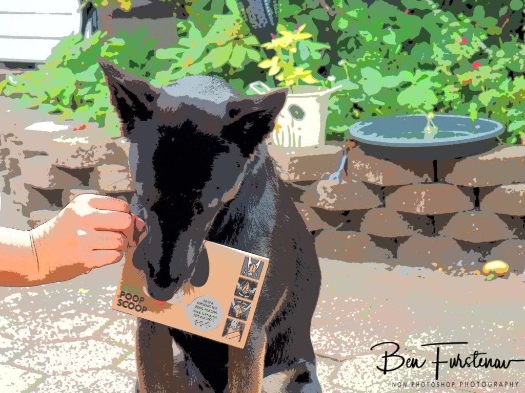 Erkermederstrand, Zwolle, The Netherlands