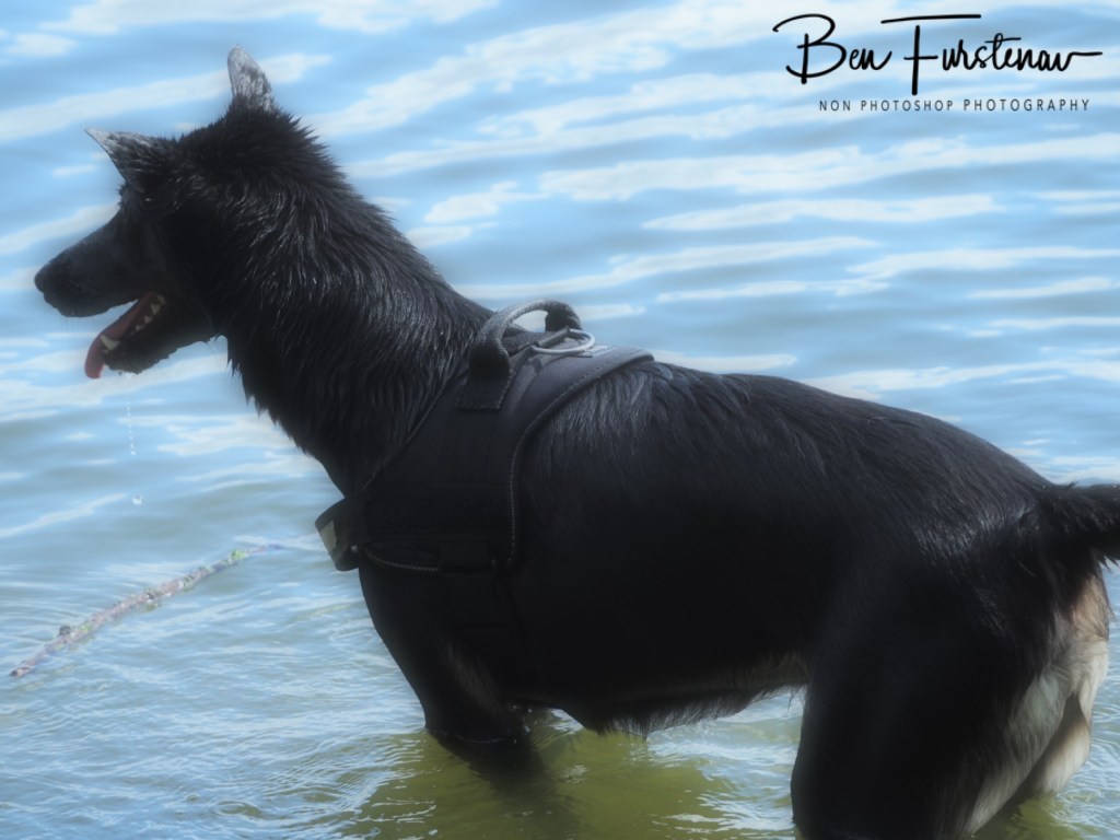 Erkermederstrand, Zwolle, The Netherlands