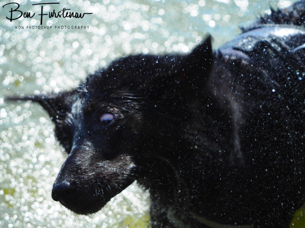 Erkermederstrand, Zwolle, The Netherlands