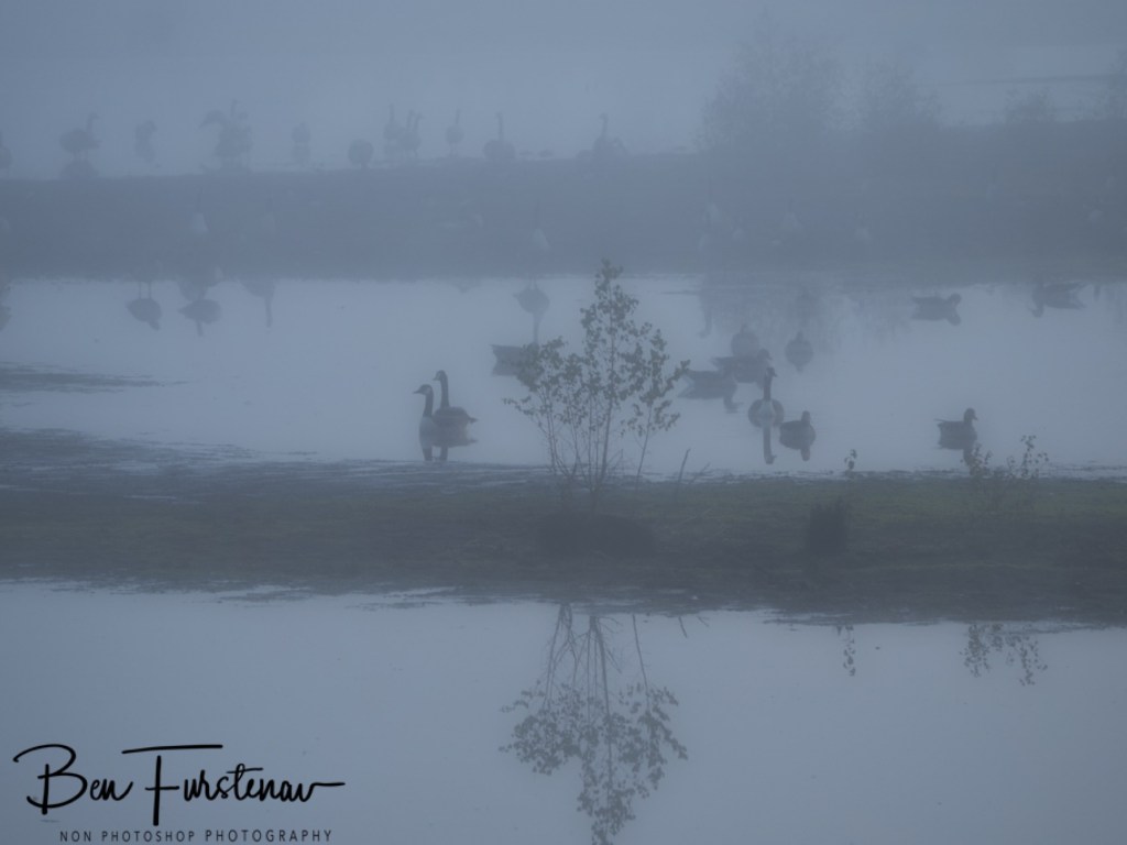 Hamburg, Pinneberg, Schleswig-Holstein,Hamburg, Germany