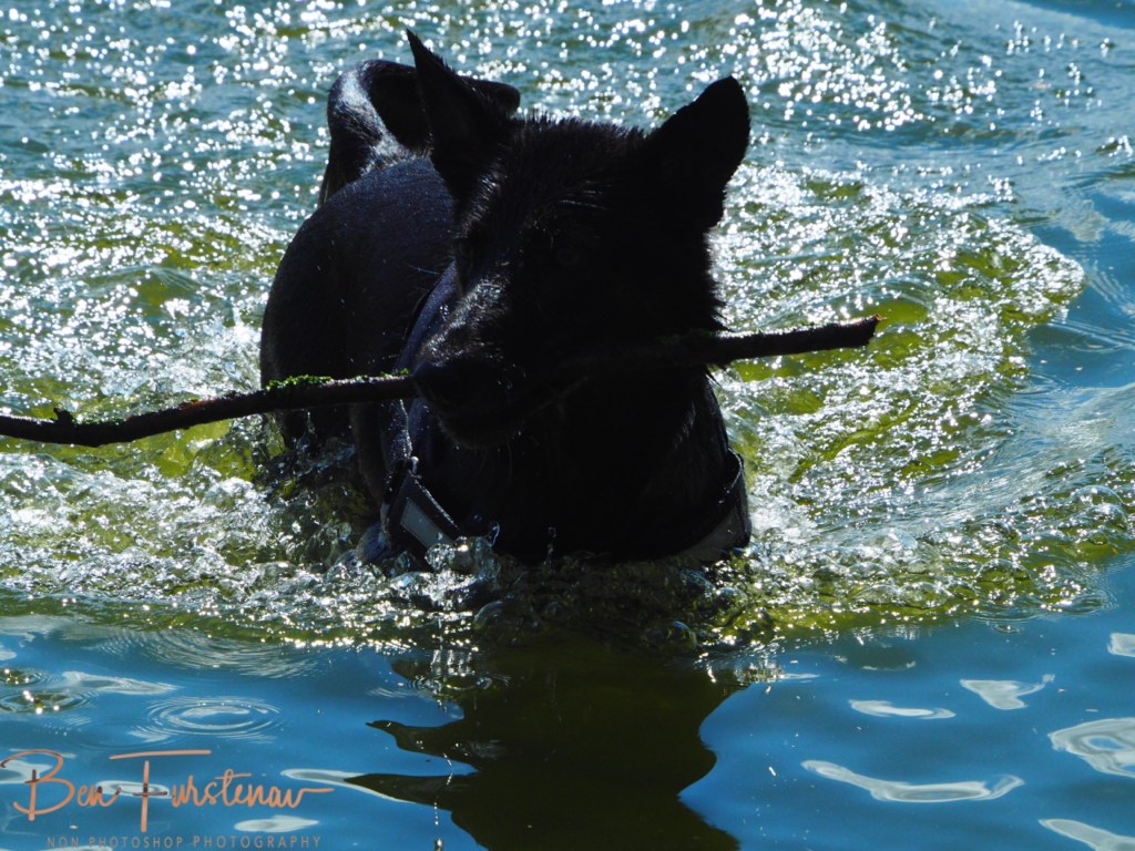 Erkermederstrand, Zwolle, The Netherlands