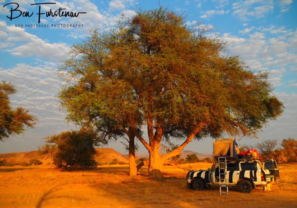 Kalahari Desert, Namibia, Africa