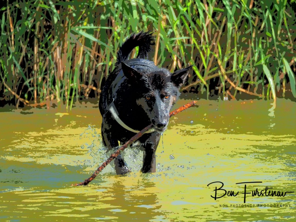Erkermederstrand, Zwolle, The Netherlands