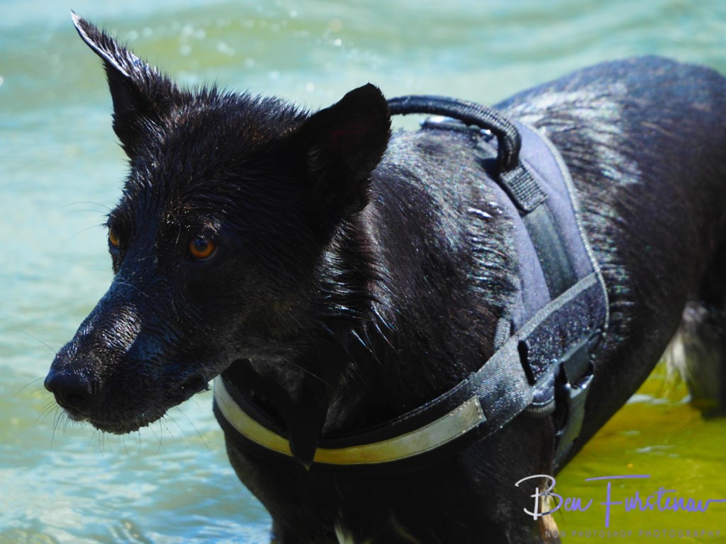 Erkermederstrand, Zwolle, The Netherlands