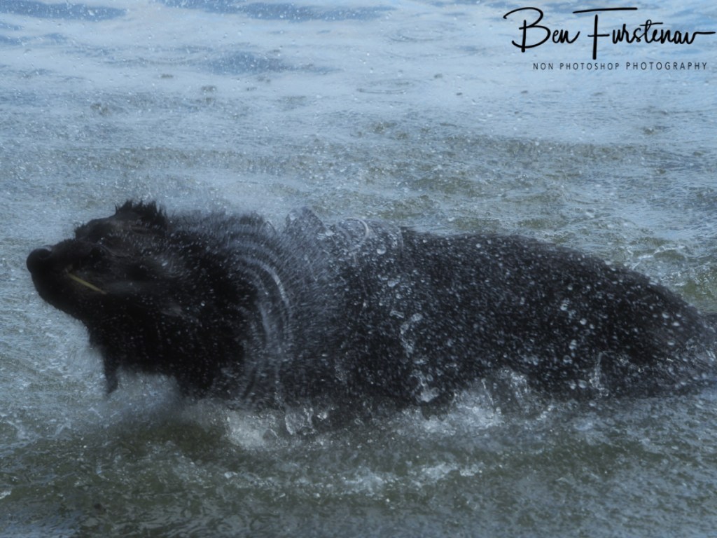 Erkermederstrand, Zwolle, The Netherlands
