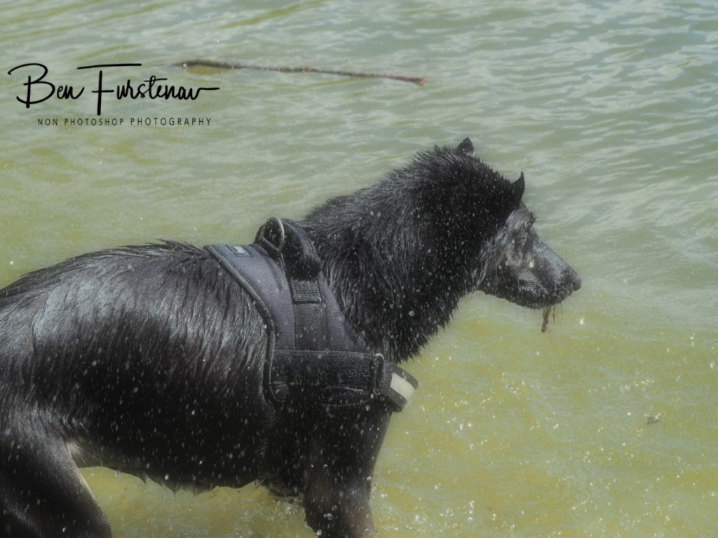 Erkermederstrand, Zwolle, The Netherlands
