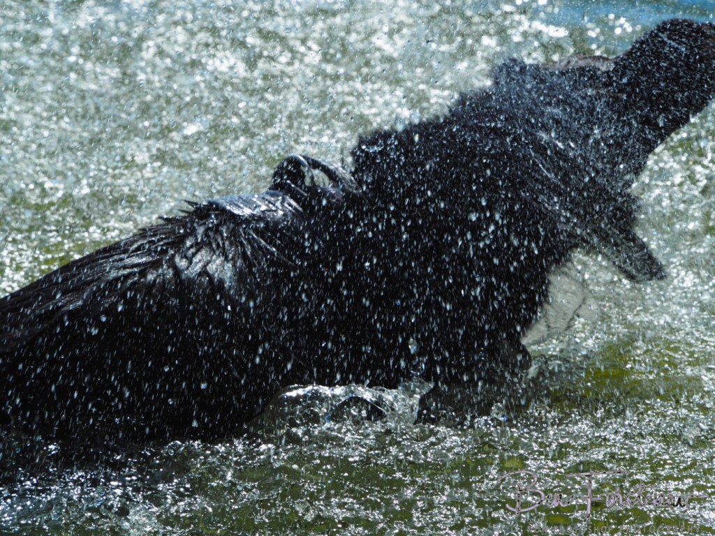 Erkermederstrand, Zwolle, The Netherlands