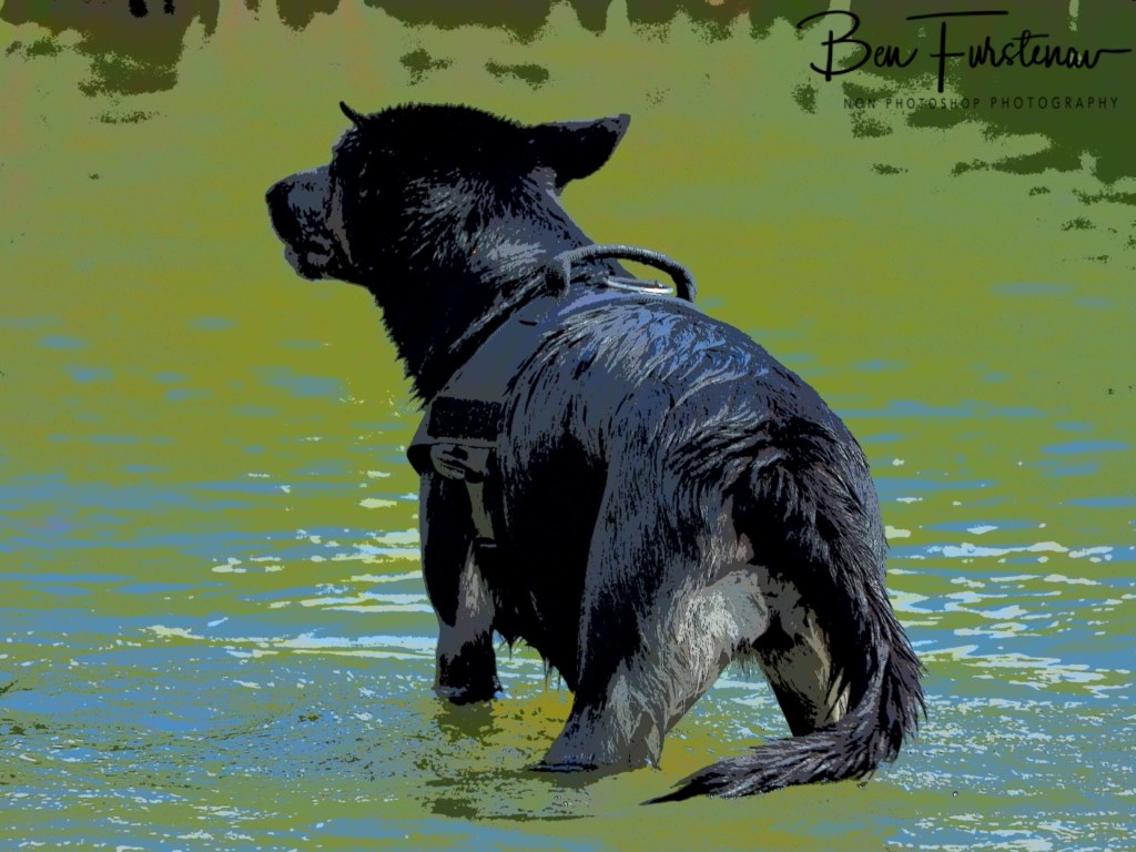 Erkermederstrand, Zwolle, The Netherlands