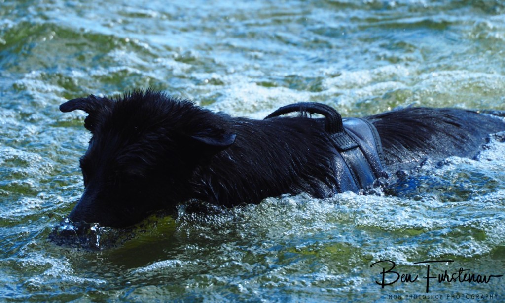 Erkermederstrand, Zwolle, The Netherlands